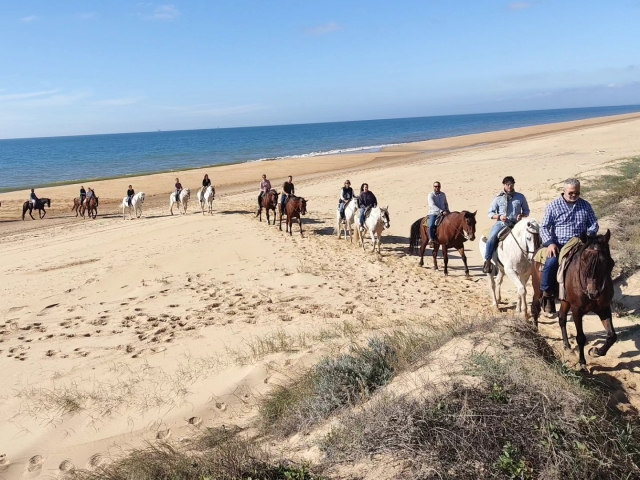 Sendero por la playa de Huelva a caballo