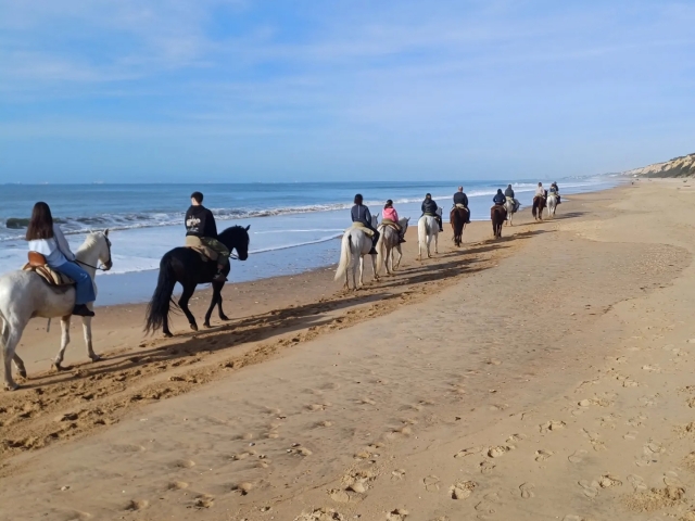 Paseo a caballo por la playa