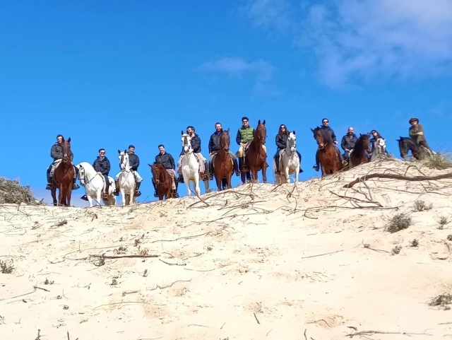 Caballos en la playa de Huelva