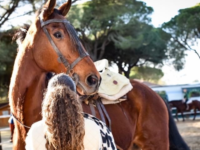 Paseo a caballo por el Parque Natural Doñana