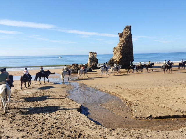 Bajada a la playa