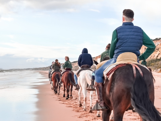 Caballos junto al mar