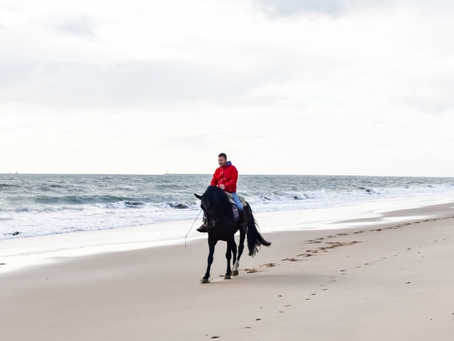 Cabalgando por la playa