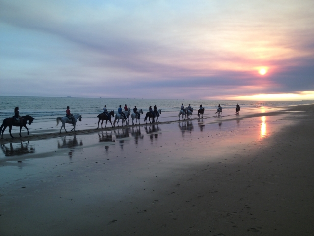 Maravillosa sensación subir a caballo por playa de Huelva
