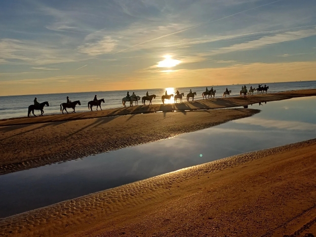Cabalgando por la playa