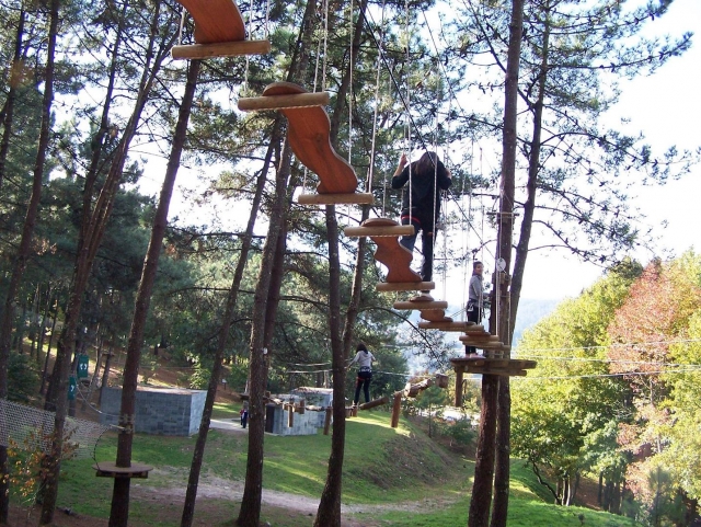 Diversi ponti di legno 