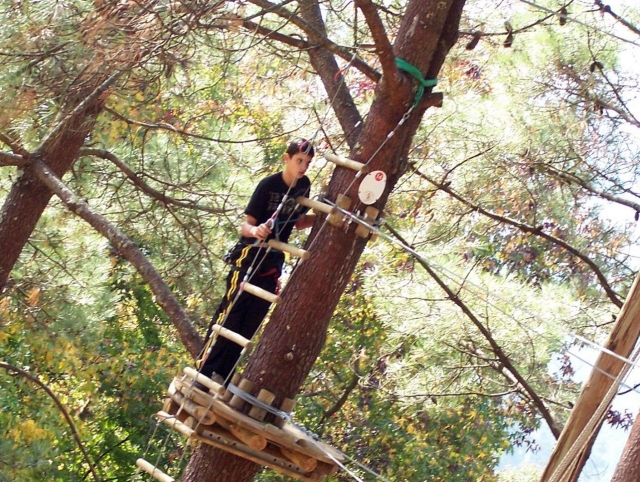  Su una delle piattaforme sugli alberi 