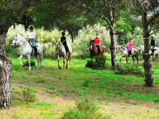  Équitation à travers Tarifa 