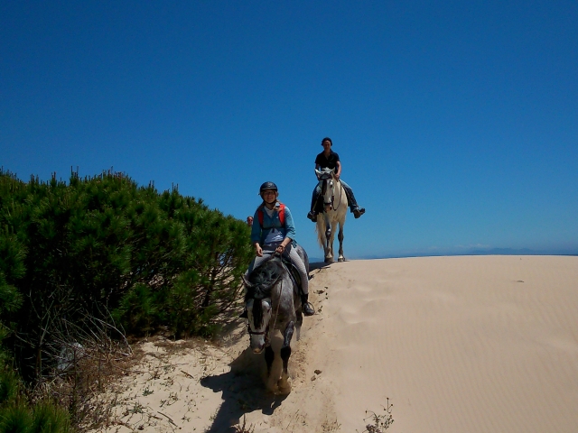  Descente à travers les dunes 
