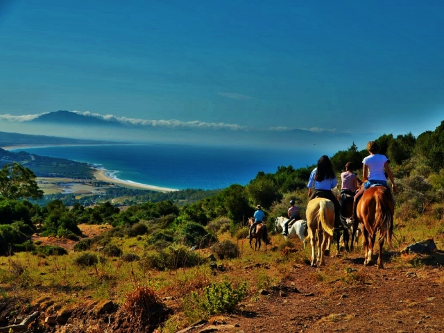 Profitez d'une promenade à cheval spectaculaire 