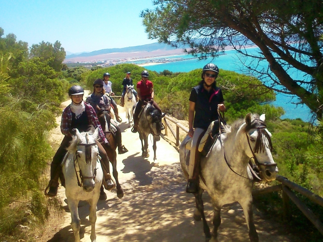  Montez à cheval sur la plage de Bolonia 