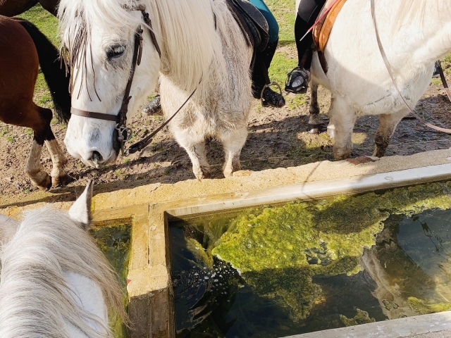  Arrêt pour boire de l'eau 