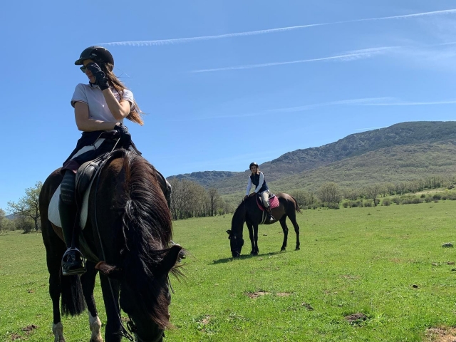  Prêt pour la route à cheval 