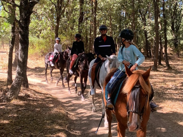  Promenade avec les chevaux 