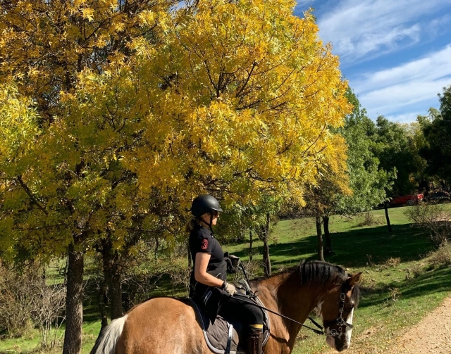  Excursions équestres dans la Sierra de Guadarrma 
