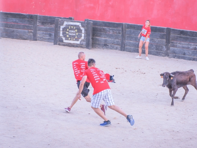 Capea + Gymkhana + Dinner and disco in Navalcarnero