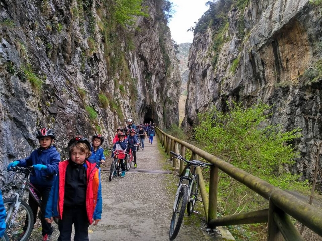  Rota da bicicleta 