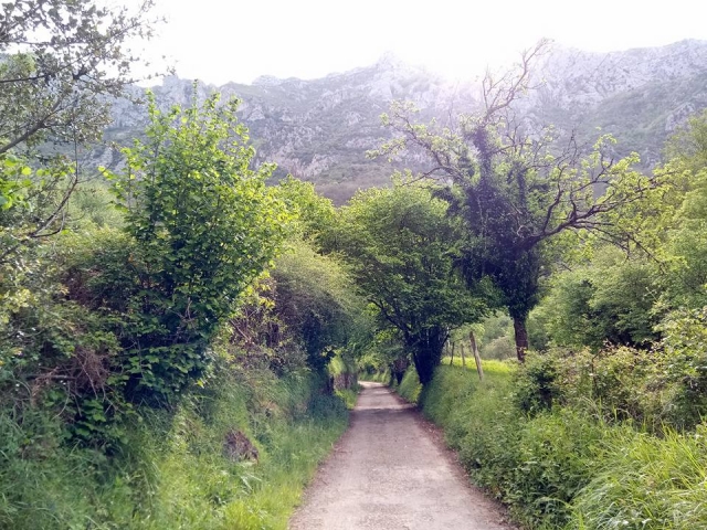  Path através da natureza 