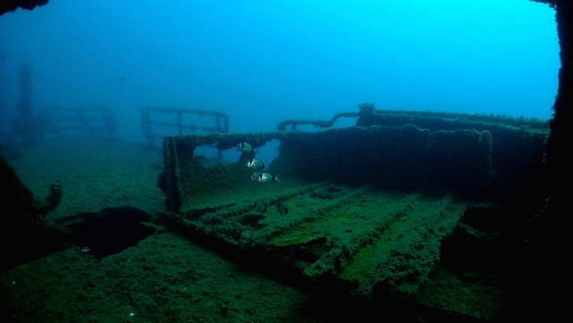  Fish and a sunken ship 