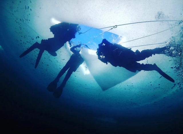 Durante una sesión de buceo interesante