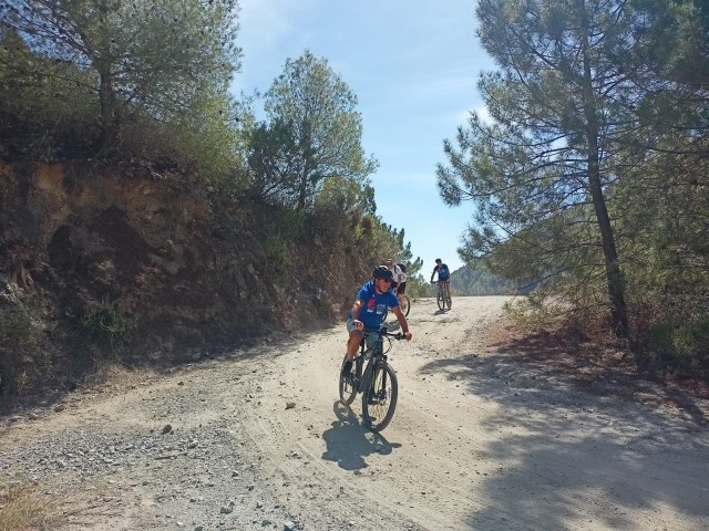  Mountain bikes mountain in Cómpeta 