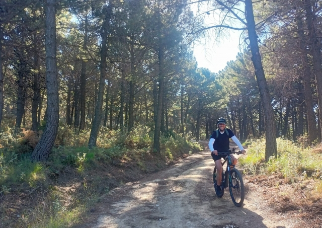  Travel the paths with an electric mountain bike 