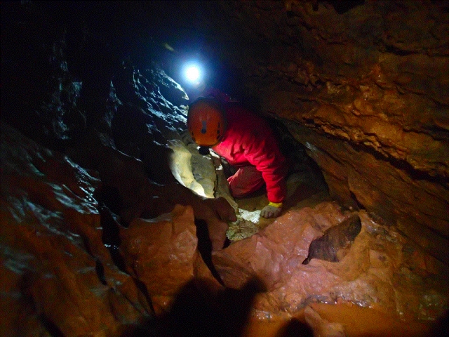  Adrenalina e curiosità 