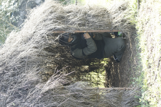 隐藏在小屋