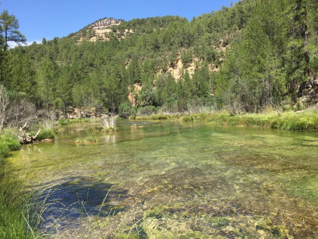  Natural Park del Alto Tajo 