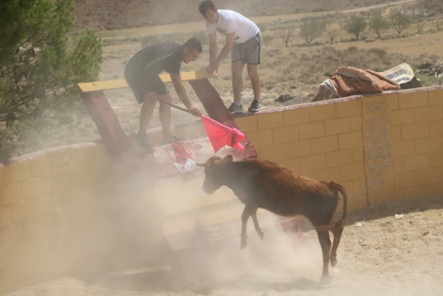 En el ruedo