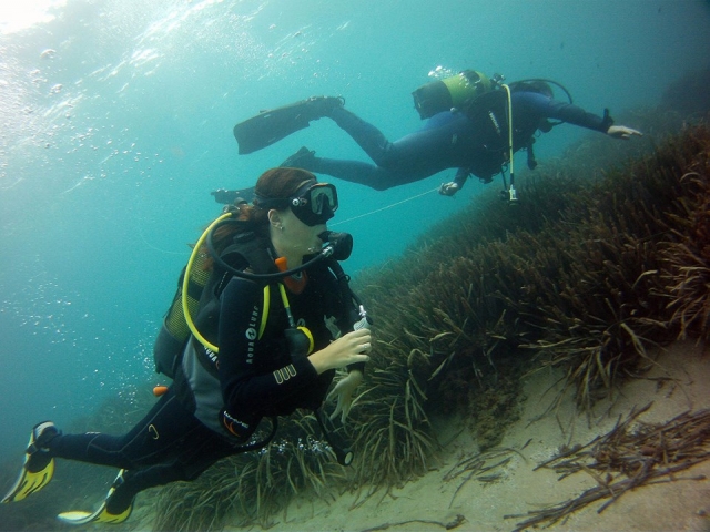  Experience diving in Cambrils 