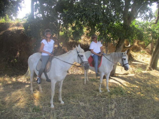  All'ombra degli alberi a cavallo 