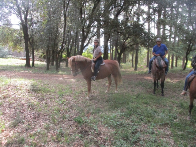  Passeggiata a cavallo attraverso i boschi 
