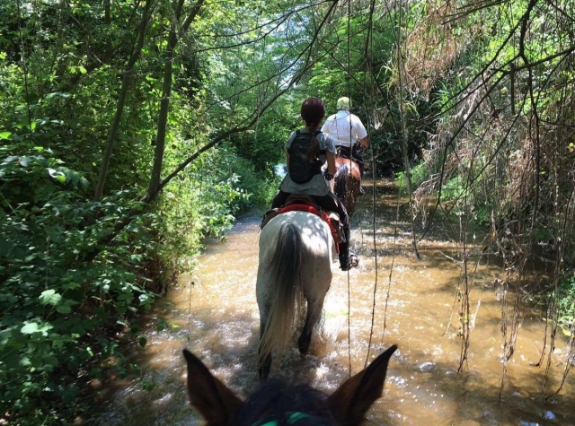  Équitation à travers la rivière Tenes