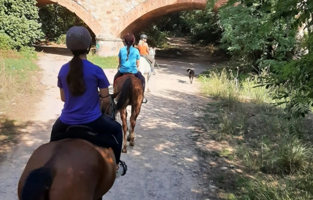 Disfruta de una cabalgamarra por Barcelona