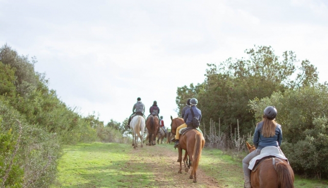 Paseo con amigos en caballo