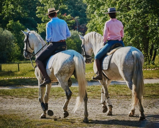 Pack: Ruta a caballo 1h, tiro con arco en Grajera