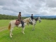 Horseback Riding Arcones