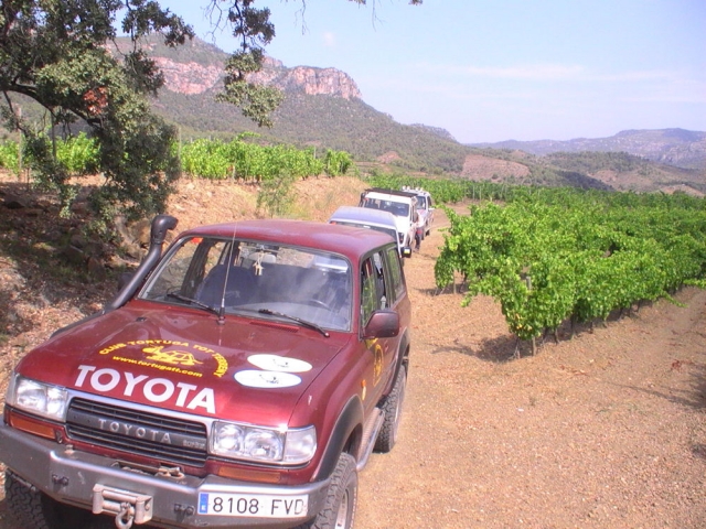  Tout-terrain 