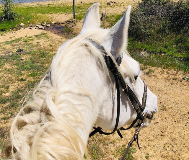 Recorre los parajes de Guadarrama cabalgando