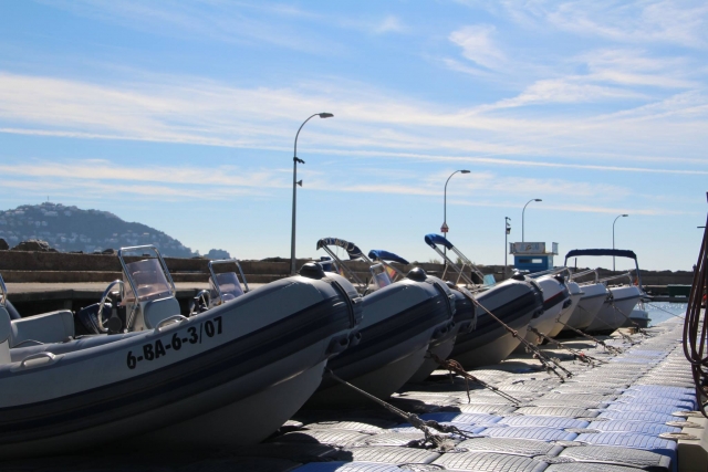  dans le port 