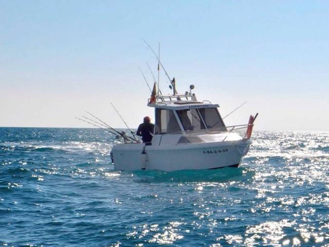 Recorre la costa pescando