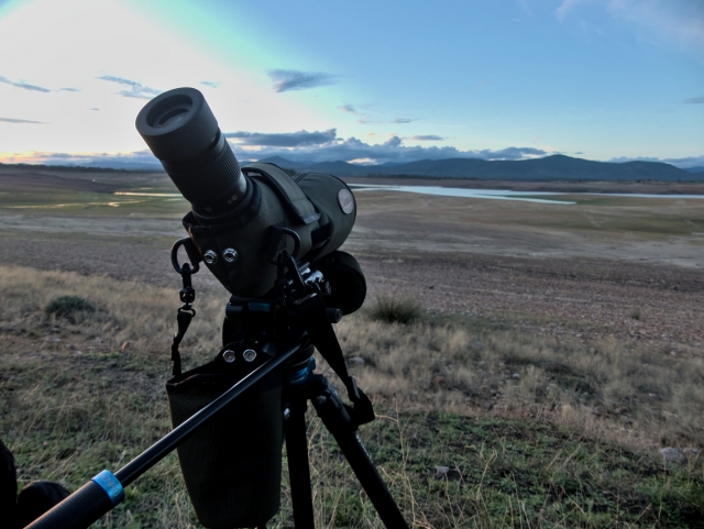 Observa con el telescopio