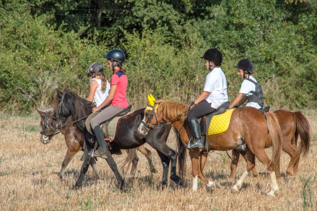  Rota de cavalos pela montanha de Palamós