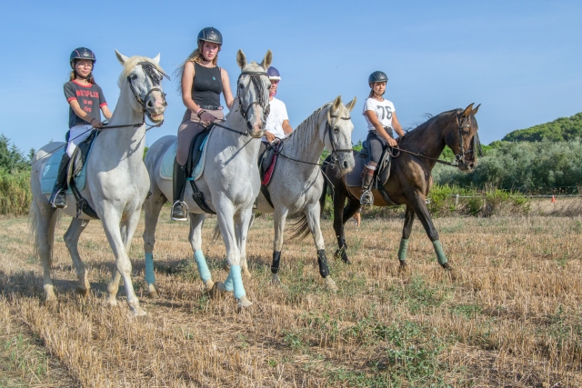 A família para galopar pelos palamós 