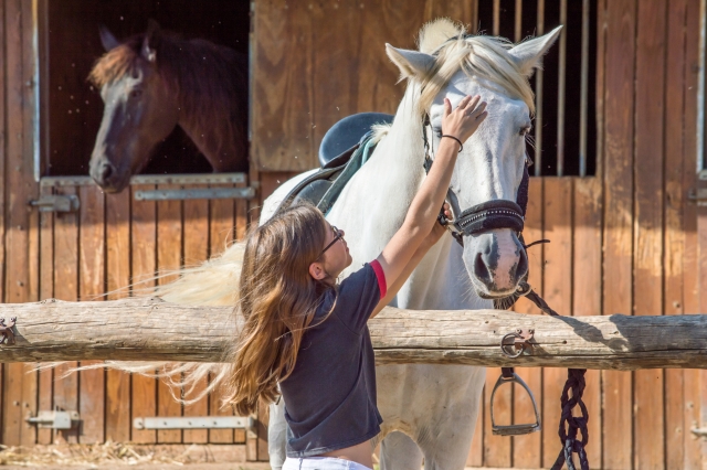  Fille caressant le cheval 