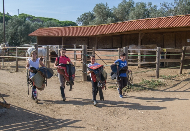  Petits prêts à monter les poneys 