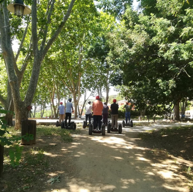 Adentrándonos en el bosque con los segways