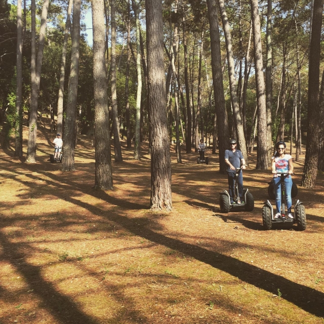 Entre la arboleda en segway