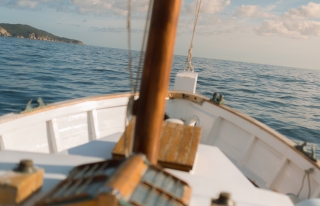 Paseo en barco por costa de Palamós, adultos 2'5h